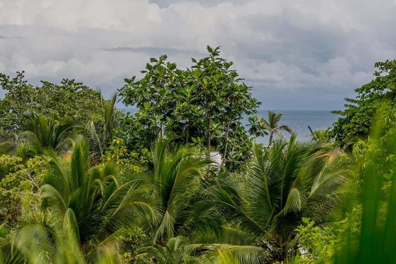 Hotel Torres Del Mar Puerto Viejo de Talamanca 외부 사진